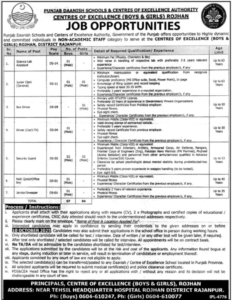 Punjab Danish School & Center of excellence authority Jobs 2025